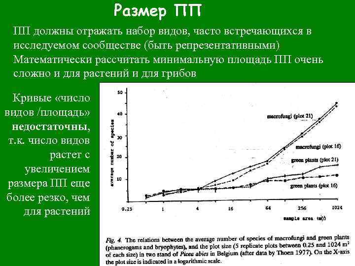 Размер ПП ПП должны отражать набор видов, часто встречающихся в исследуемом сообществе (быть репрезентативными)