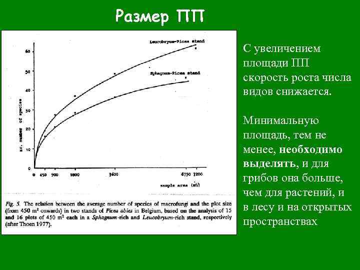 Размер ПП С увеличением площади ПП скорость роста числа видов снижается. Минимальную площадь, тем