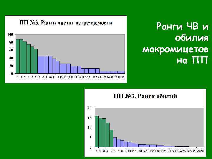 Ранги ЧВ и обилия макромицетов на ПП 