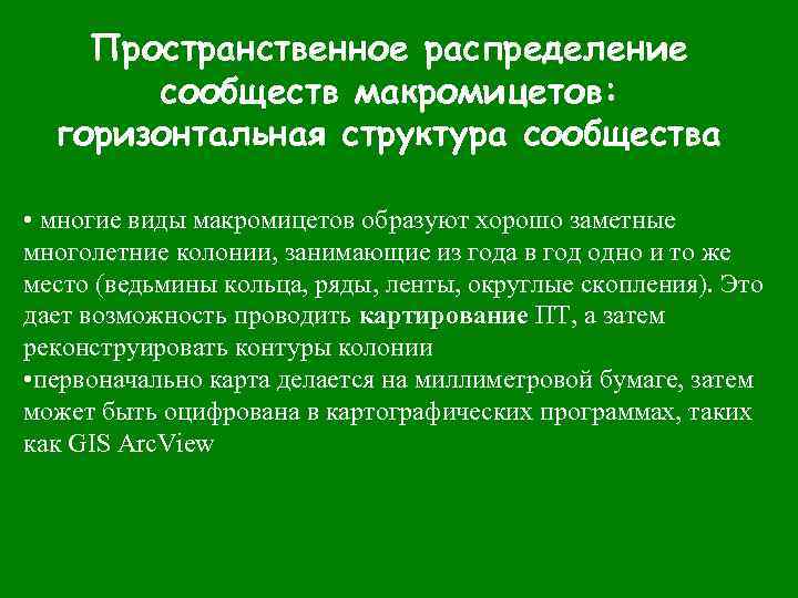 Пространственное распределение сообществ макромицетов: горизонтальная структура сообщества • многие виды макромицетов образуют хорошо заметные