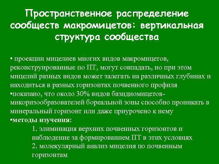 Пространственное распределение сообществ макромицетов: вертикальная структура сообщества • проекции мицелиев многих видов макромицетов, реконструированные