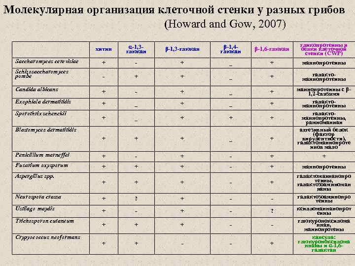 Молекулярная организация клеточной стенки у разных грибов (Howard and Gow, 2007) хитин α-1, 3
