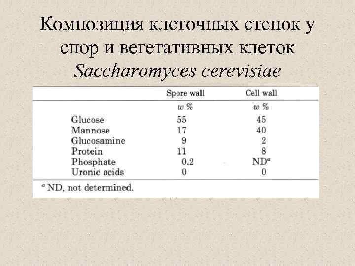Композиция клеточных стенок у спор и вегетативных клеток Saccharomyces cerevisiae 