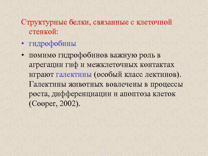 Структурные белки, связанные с клеточной стенкой: • гидрофобины • помимо гидрофобинов важную роль в