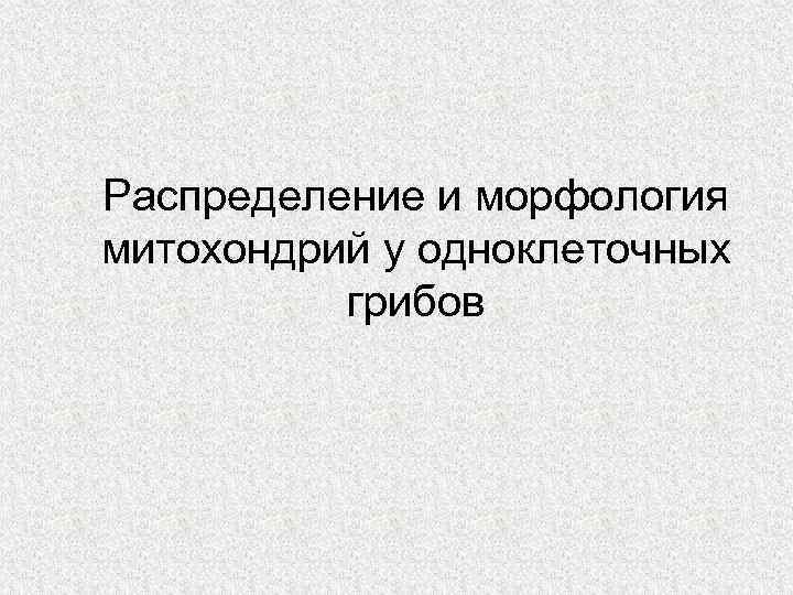 Распределение и морфология митохондрий у одноклеточных грибов 