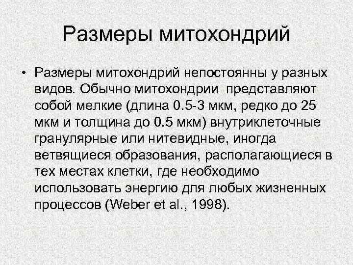 Размеры митохондрий • Размеры митохондрий непостоянны у разных видов. Обычно митохондрии представляют собой мелкие