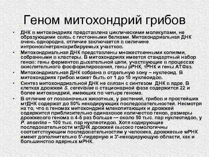 Геном митохондрий грибов • • • ДНК в митохондриях представлена циклическими молекулами, не образующими