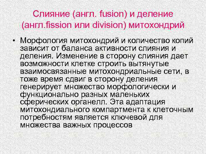 Слияние (англ. fusion) и деление (англ. fission или division) митохондрий • Морфология митохондрий и