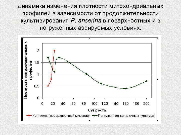 Динамика изменения плотности митохондриальных профилей в зависимости от продолжительности культивирования P. anserina в поверхностных