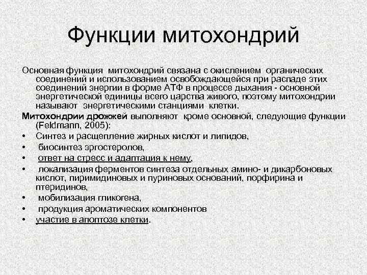 Функции митохондрий Основная функция митохондрий связана с окислением органических соединений и использованием освобождающейся при