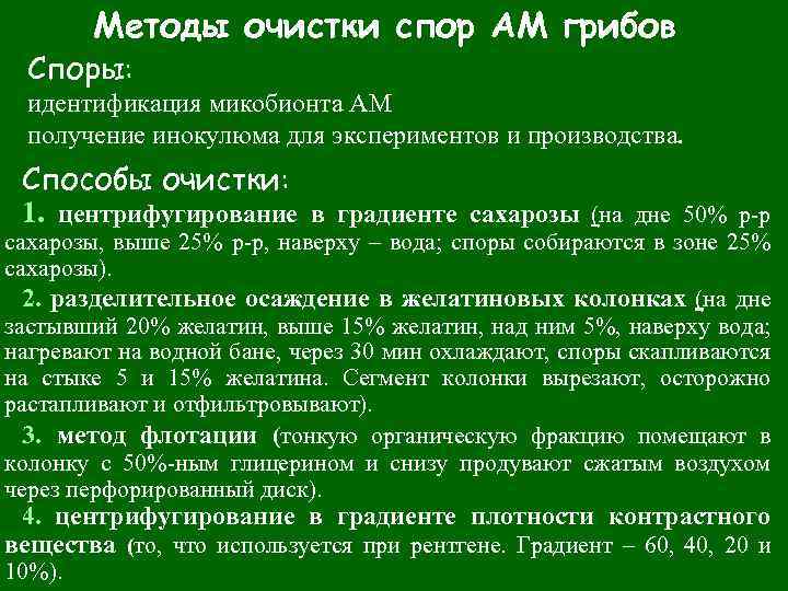 Микобионт характеристики. Микобионт это в биологии. О чем спорят грибы. Микобионт.