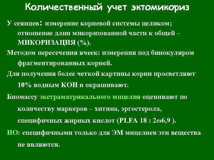 Количественный учет эктомикориз У сеянцев: измерение корневой системы целиком; отношение длин микоризованной части к