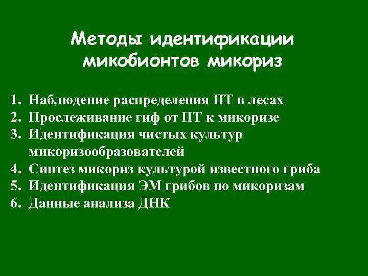 Методы идентификации микобионтов микориз 1. Наблюдение распределения ПТ в лесах 2. Прослеживание гиф от