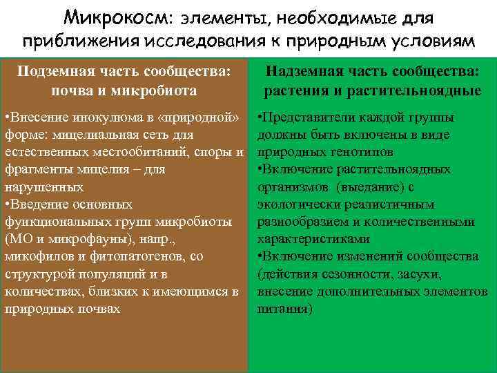 Микрокосм: элементы, необходимые для приближения исследования к природным условиям Подземная часть сообщества: почва и