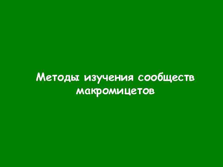 Методы изучения сообществ макромицетов 