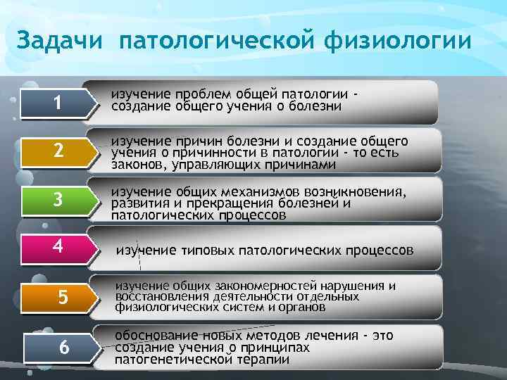 Задачи патологической физиологии 1 изучение проблем общей патологии создание общего учения о болезни 2
