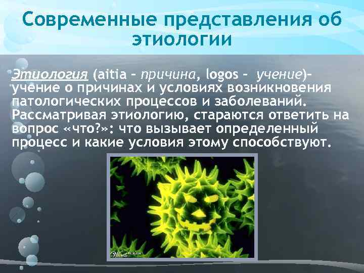 Современные научные представления. Современное представление об этиологии. Современные представления об этиологии болезней. Современные научные представления об этиологии болезни. Современное представление об этиологии патофизиология.