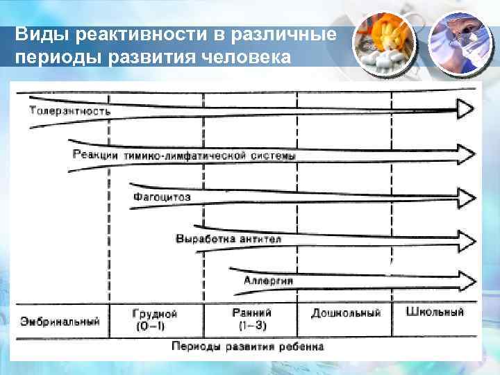 Виды реактивности в различные периоды развития человека 