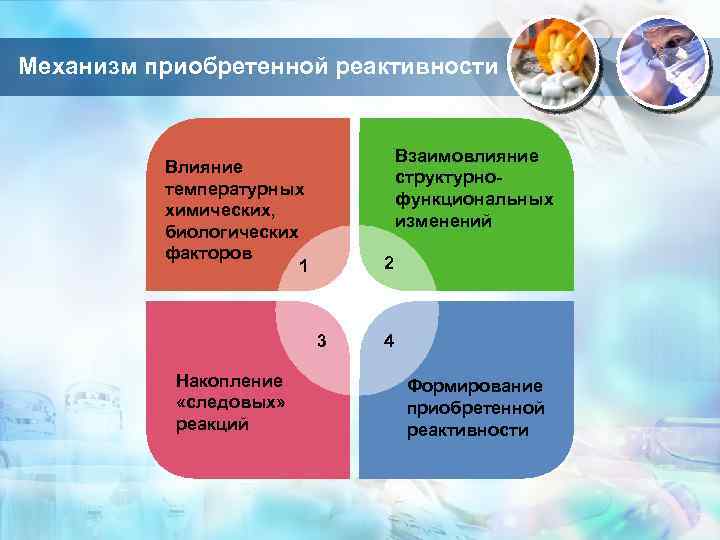 Механизм приобретенной реактивности Взаимовлияние структурнофункциональных изменений Влияние температурных химических, биологических факторов 1 2 3