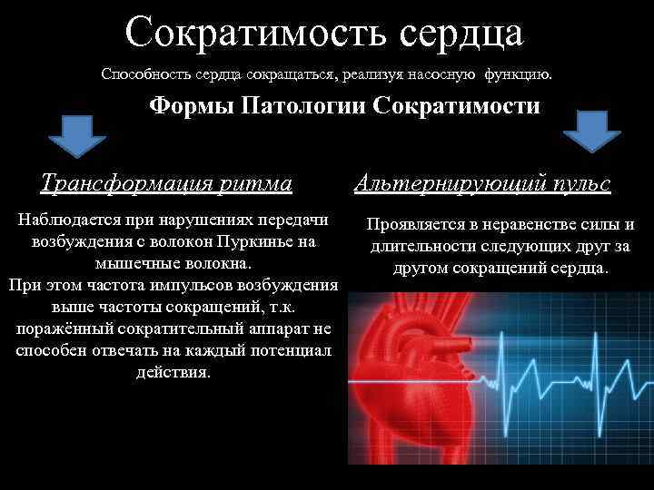 Виды сократимости. Нарушение сердечной сократимости. Функции сердечной мышцы. Нарушение сократительной функции сердца. Сократительная функция сердца.