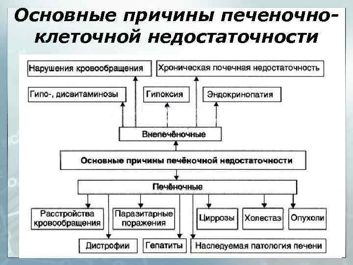 Основные причины печеночноклеточной недостаточности 