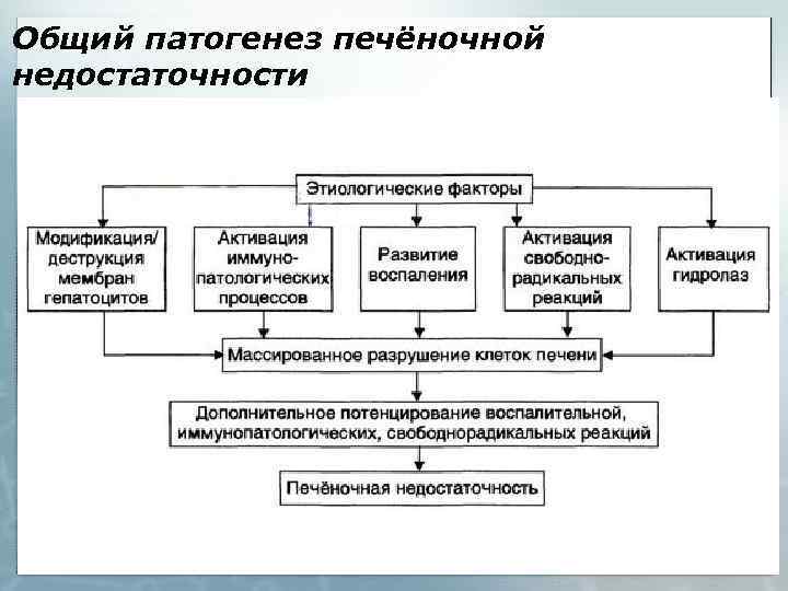 Общий патогенез печёночной недостаточности 