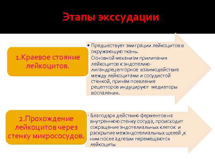 Этапы экссудации 1. Краевое стояние лейкоцитов. • Предшествует эмиграции лейкоцитов в окружающую ткань. •