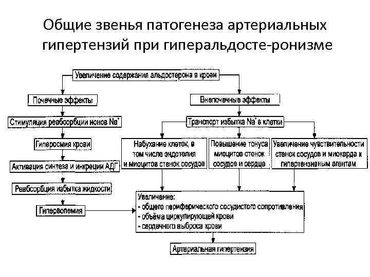 Общие звенья патогенеза артериальных гипертензий при гиперальдосте ронизме 