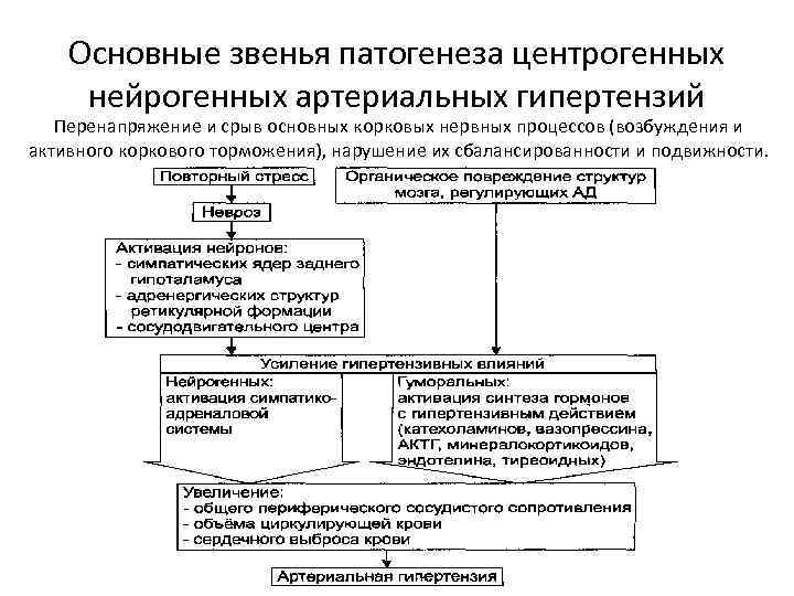 Артериальная гипертензия этиология. Центрогенные артериальные гипертензии. Центрогенная артериальная гипертензия. Звенья патогенеза. Центрогенный механизм артериальной гипертензии.