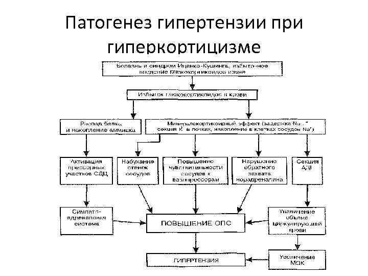 Патогенез гипертензии при гиперкортицизме 