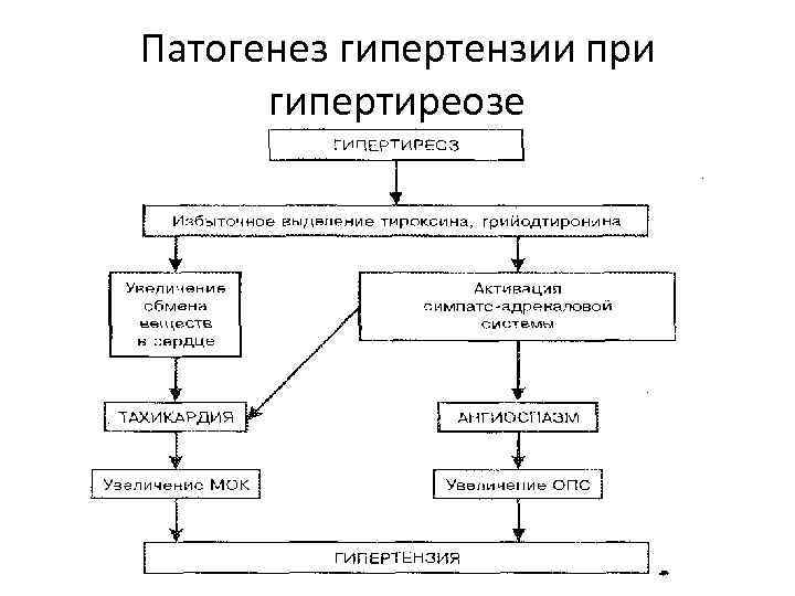 Патогенез гипертензии при гипертиреозе 