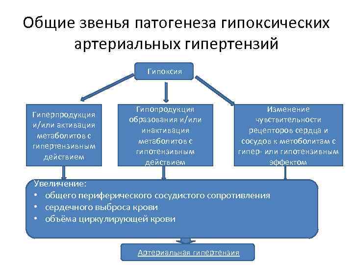 Общие звенья патогенеза гипоксических артериальных гипертензий Гипоксия Гиперпродукция и/или активация метаболитов с гипертензивным действием