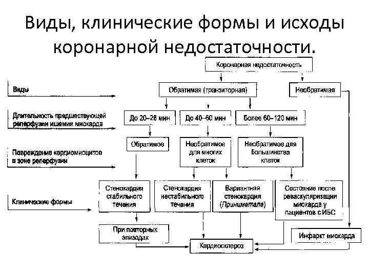 Виды, клинические формы и исходы коронарной недостаточности. 