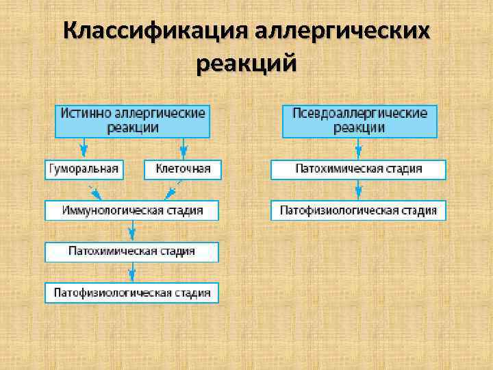 Классы аллергических реакций. Классификация аллергических реакций. Классификация аллергенов и аллергических реакций. Классификация аллергии патофизиология. Аллергия классификация аллергических реакций.