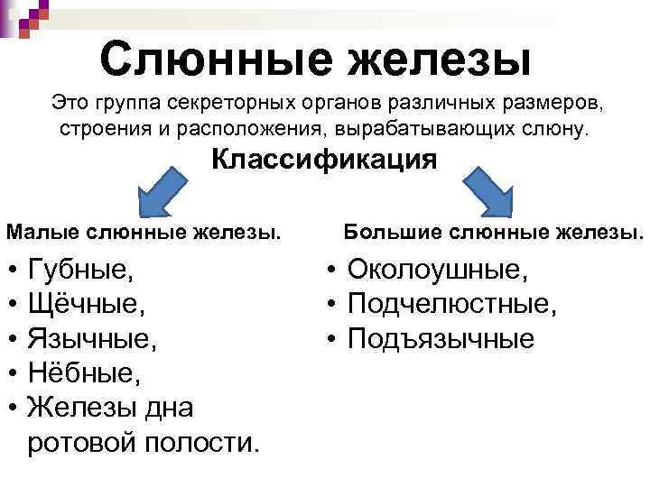 Слюнные железы Это группа секреторных органов различных размеров, строения и расположения, вырабатывающих слюну. Классификация