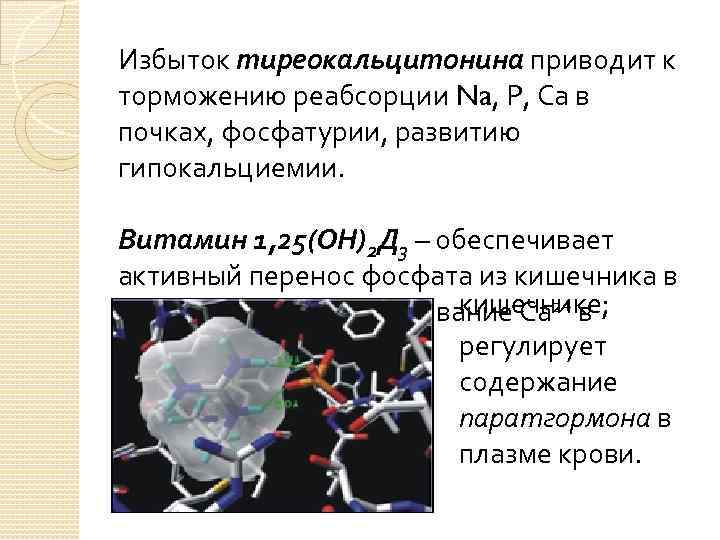 Избыток тиреокальцитонина приводит к торможению реабсорции Na, Р, Са в почках, фосфатурии, развитию гипокальциемии.