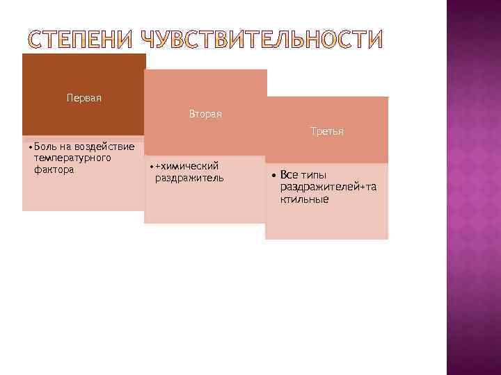 Первая Вторая Третья • Боль на воздействие температурного фактора • +химический раздражитель • Все