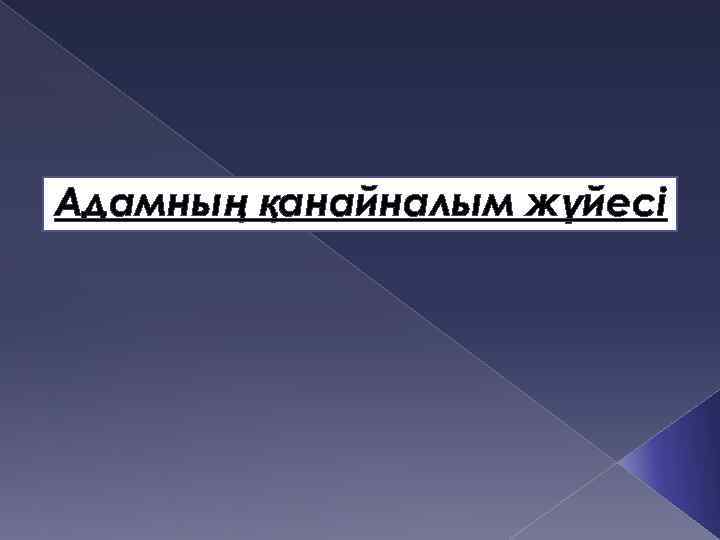 Адамның қанайналым жүйесі 