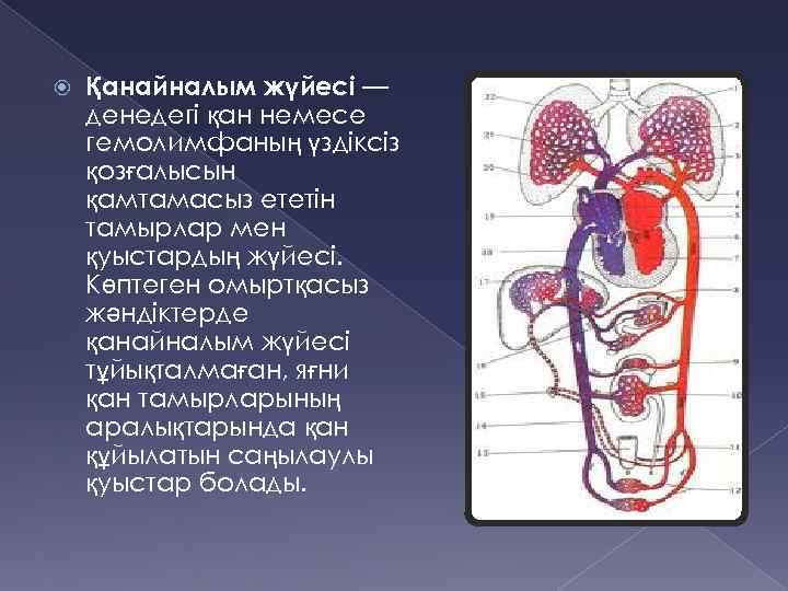 Ас қорыту жүйесіне әсер ететін дәрілер презентация