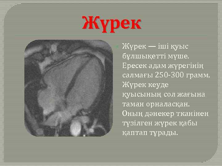 Жүрек — іші қуыс бұлшықетті мүше. Ересек адам жүрегінің салмағы 250 -300 грамм. Жүрек
