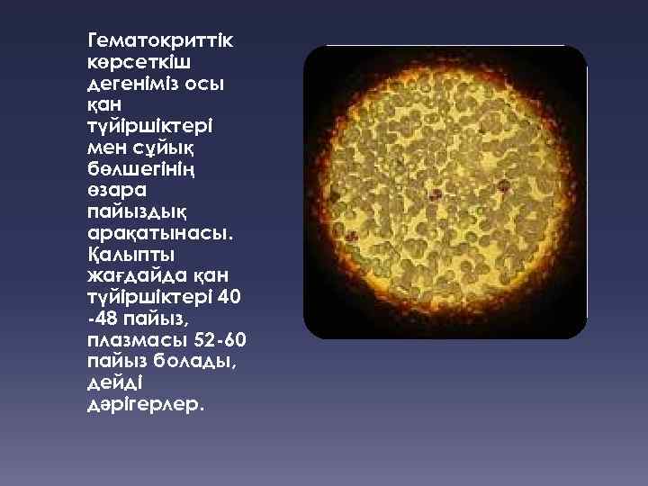 Гематокриттік көрсеткіш дегеніміз осы қан түйіршіктері мен сұйық бөлшегінің өзара пайыздық арақатынасы. Қалыпты жағдайда