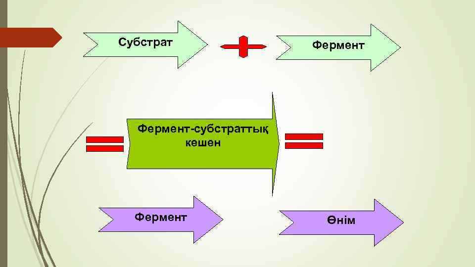 Субстрат Фермент-субстраттық кешен Фермент Өнім 