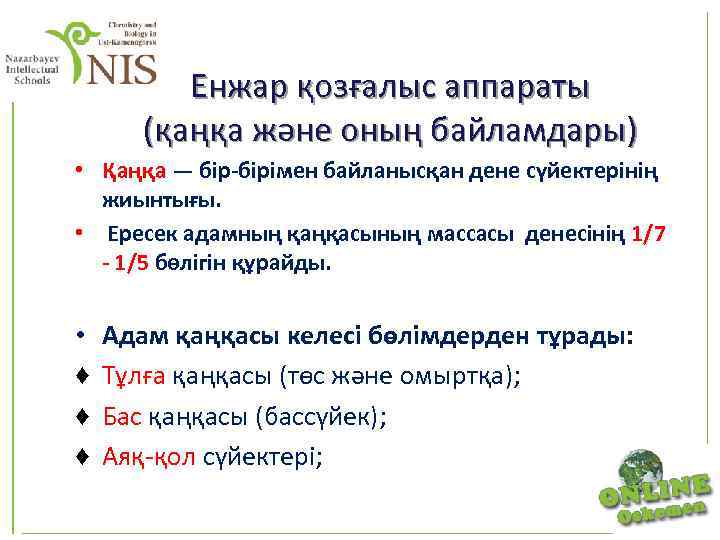 Енжар қозғалыс аппараты (қаңқа және оның байламдары) • Қаңқа — бір-бірімен байланысқан дене сүйектерінің