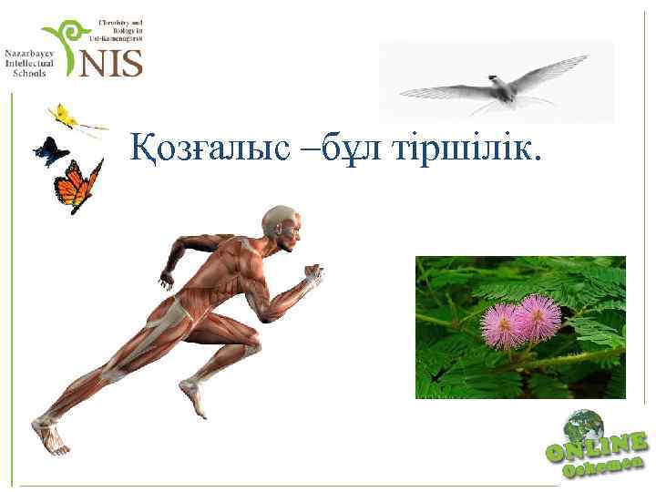 Қозғалыс –бұл тіршілік. 