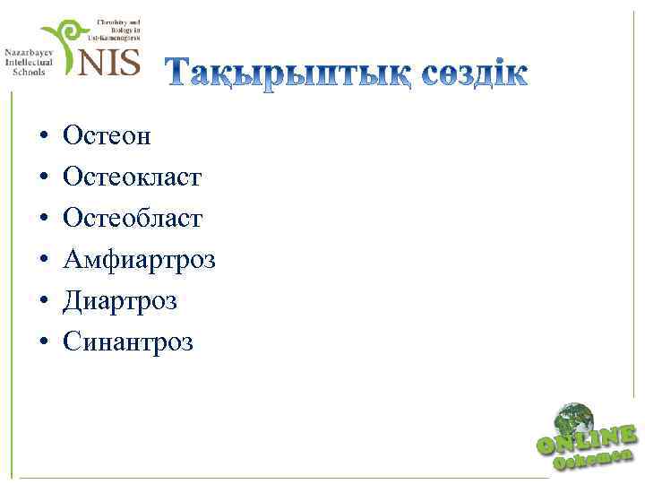  • • • Остеон Остеокласт Остеобласт Амфиартроз Диартроз Синантроз 