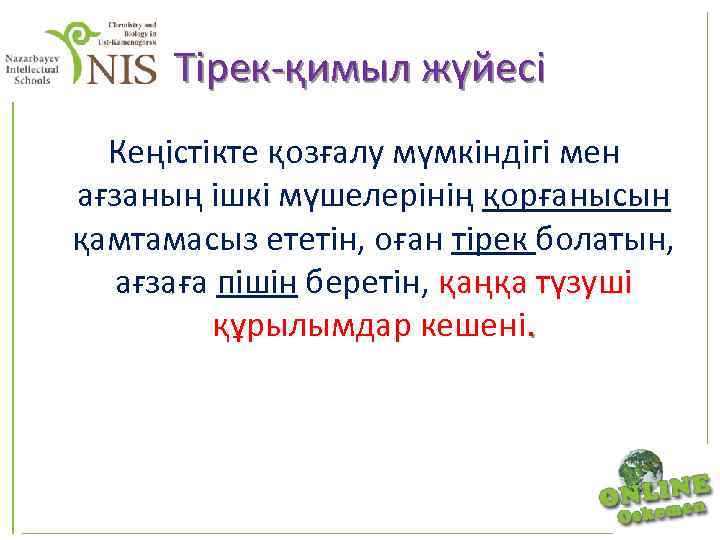 Тірек-қимыл жүйесі Кеңістікте қозғалу мүмкіндігі мен ағзаның ішкі мүшелерінің қорғанысын қамтамасыз ететін, оған тірек