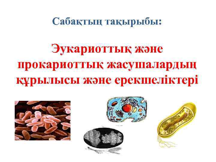 Сабақтың тақырыбы: Эукариоттық және прокариоттық жасушалардың құрылысы және ерекшеліктері 