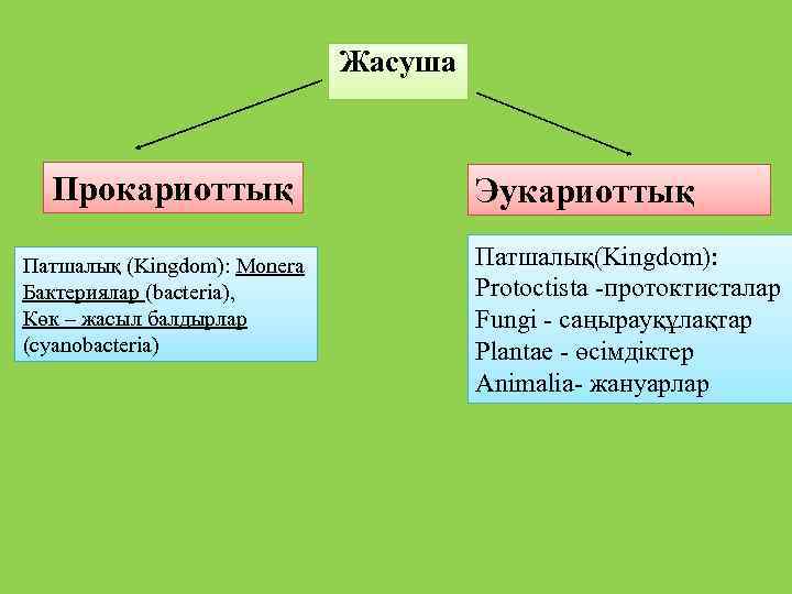Жасуша Прокариоттық Патшалық (Kingdom): Monera Бактериялар (bacteria), Көк – жасыл балдырлар (cyanobacteria) Эукариоттық Патшалық(Kingdom):