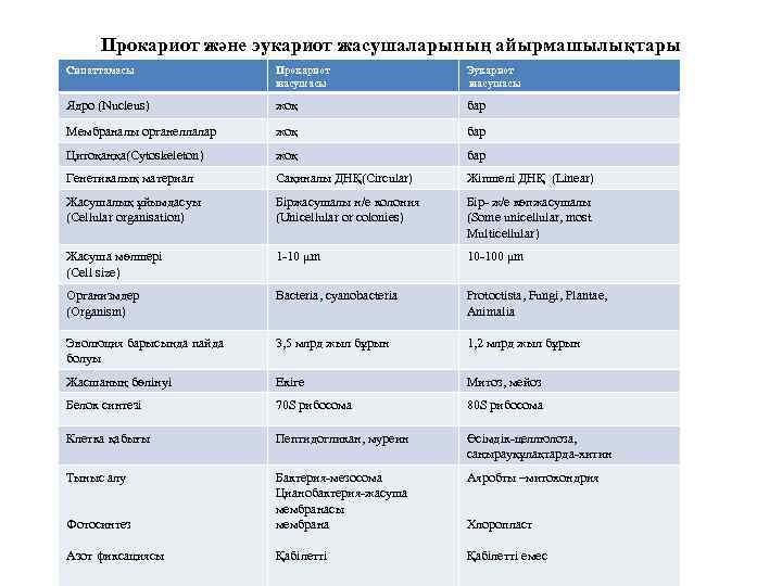 Прокариот және эукариот жасушаларының айырмашылықтары Сипаттамасы Прокариот жасушасы Эукариот жасушасы Ядро (Nucleus) жоқ бар