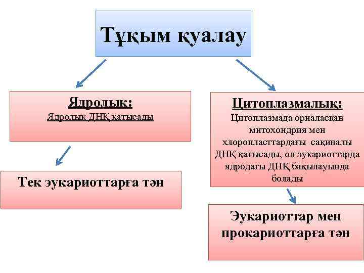 Ядролық реакциялар презентация